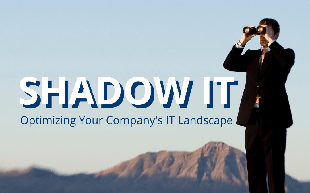 Shadow IT: From Challenges to Opportunities