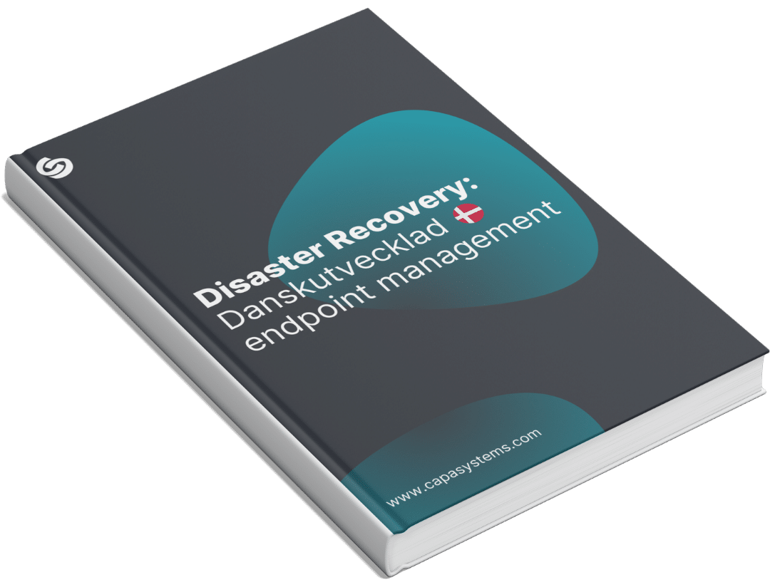 Grafik til downloadside (1) disaster recovery