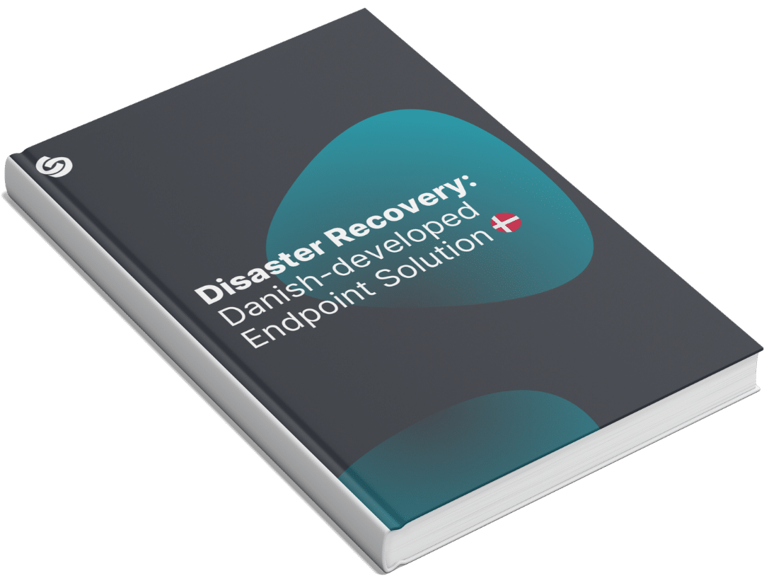 Grafik til downloadside (2) disaster recovery