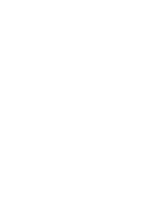 noun_Lock_3565414 udrul applikationer