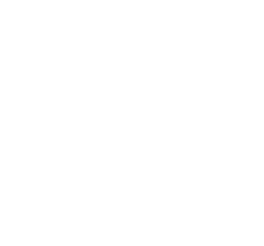 device management system